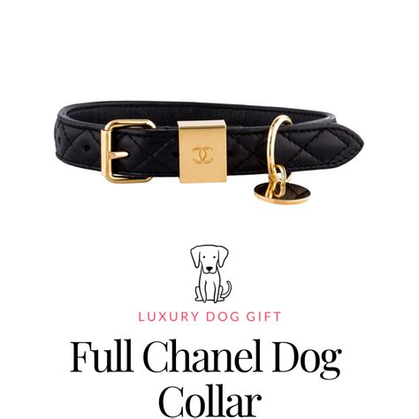 chanel pet collection|designer dog collars.